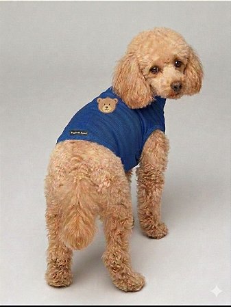 Roupa para Cães Regata Meia Estação Coala cor Azul -Gaby Moda Pet