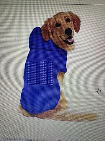Roupa para Cachorro Inverno Moletom Azul Royal Baby com Capuz Gaby Moda Pet