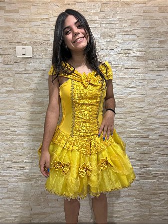 Fantasia Da Bela E A Fera Adulta Vestido De Princesa Luxo