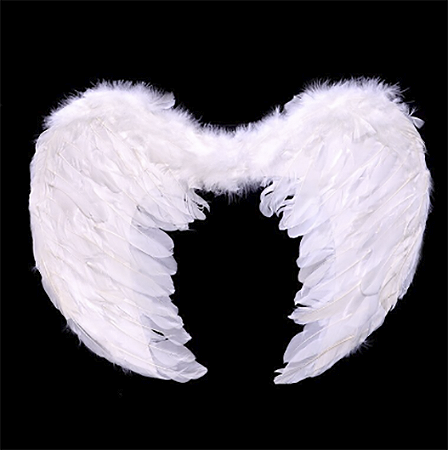 Asa De Anjo Asa Para Fantasia Festa Penas Natural