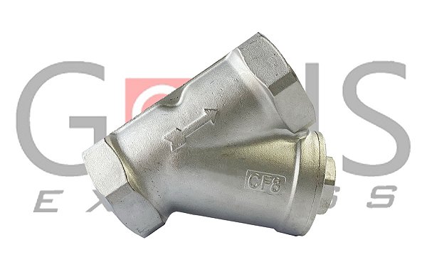 Filtro Y 304 BSP PTFE