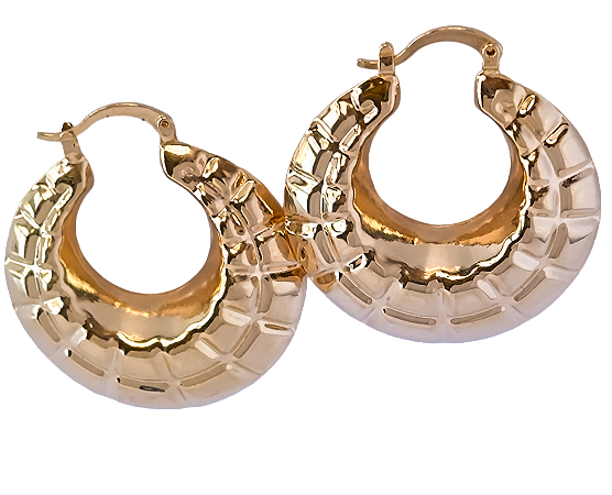 Brinco Argola Cheia