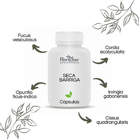 Seca Barriga 60 capsulas