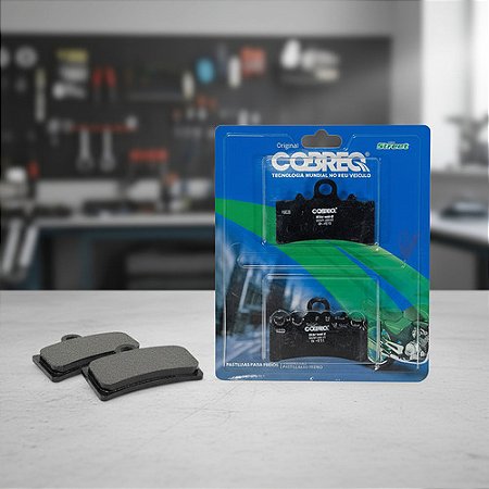 Pastilha De Freio Dianteira Bmw Gs310 G310r - 2016 A 2021