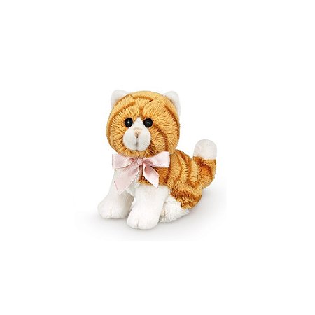 GATINHO LARANJA