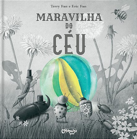 LIVRO MARAVILHA DO CEU