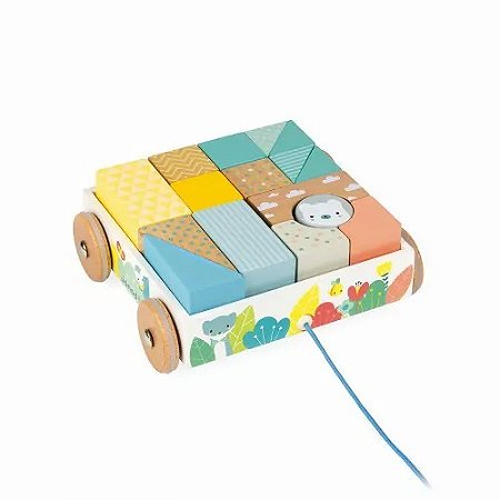 CARRO DE PUXAR COM BLOCOS