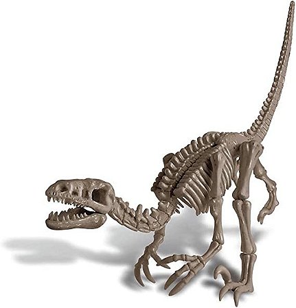 KIT DE ESCAVACAO ESQUELETO VELOCIRAPTOR