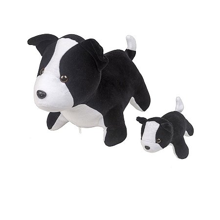 BORDER COLLIE GRAVIDA DE 1 FILHOTE