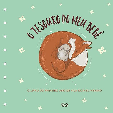 LIVRO TESOURO DO MEU BEBE O LIVRO DE RECOR (VERDE)