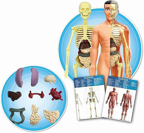 KIT MEDICO EXPLORA CORPO HUMANO PREMIUM