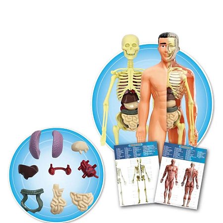 KIT MEDICO EXPLORA CORPO HUMANO