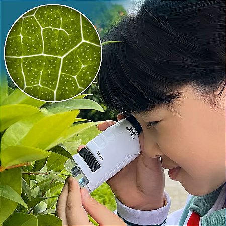 MICROSCOPIO PORTATIL 60X E 120X