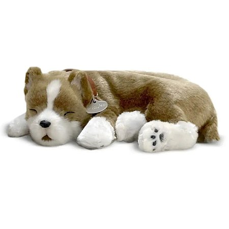 CACHORRO TECIDO PIT BULL QUE RESPIRA