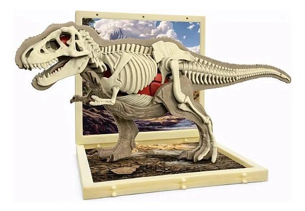BRINQUEDO ANATOMIA 3D DINOSSAURO