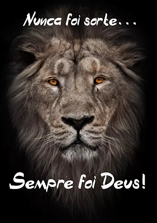 Quadro Decorativo Leão de Judá: Nunca foi sorte... Sempre foi Deus. Quarto Sala Escritório