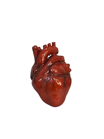 Chaveiro Coração Anatomia Realista