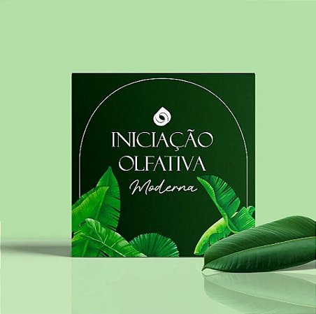 Kit Aromatizantes Amostra Moderno