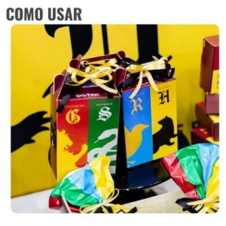 CAIXA SURPRESA HARRY POTTER  C/8