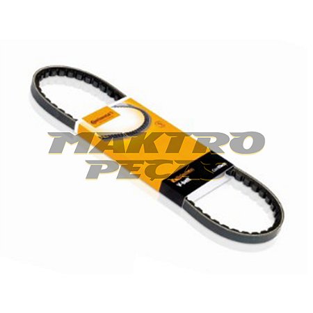 TO 909160297571 Correia alternador motor 4Y