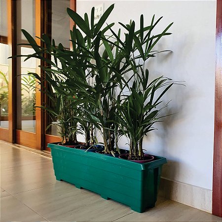 Floreira Plastica 80cm, nº 4,   GOYAMA