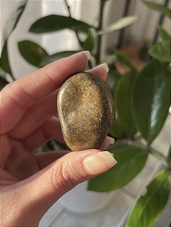 Bronzita Rolada – Proteção • Autoconfiança • Estabilidade