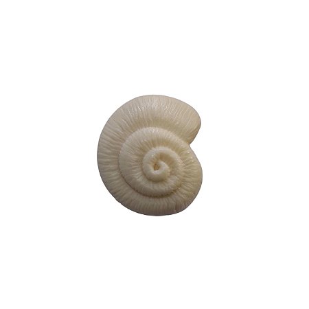 Fivela de Resina - Caracol