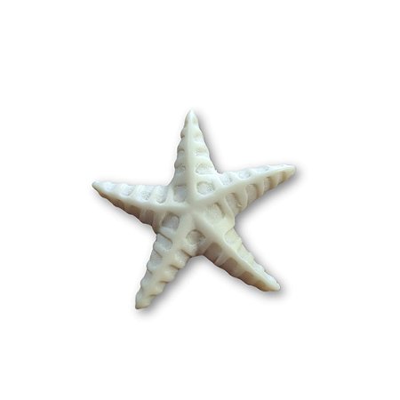 Fivela de Resina - Estrela do Mar