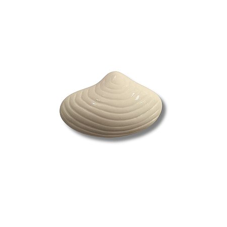 Fivela de Resina - Concha Cor off