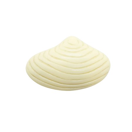 Fivela de Resina - concha Pequena Off