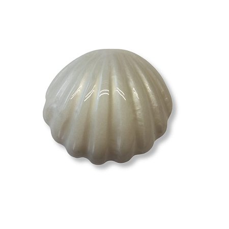 Concha de Resina - Cor Pérolado