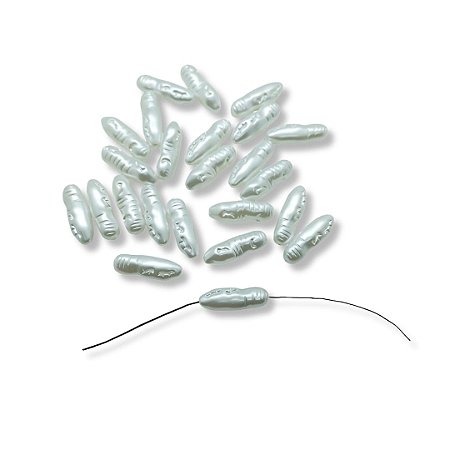 Pérola Barroca - ABS