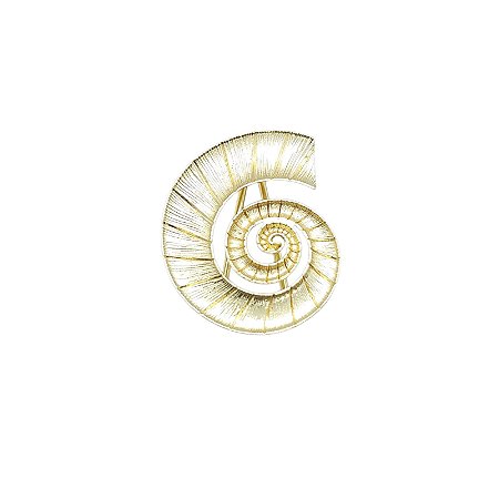 Entremeio Caracol Dourado-4,1cm