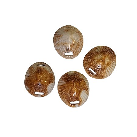 Entremeio De Resina Concha - Bege Mescla - 3,2cm x 3,6cm