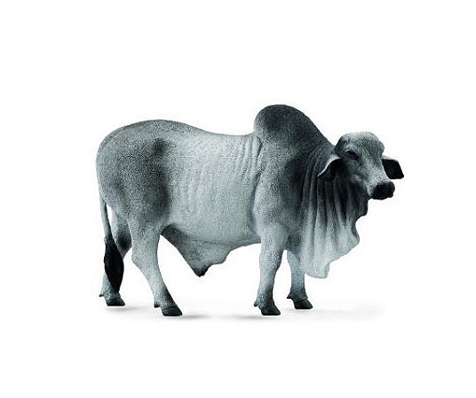 Figura Collecta - Touro Brahman - 14cm De Comprimento
