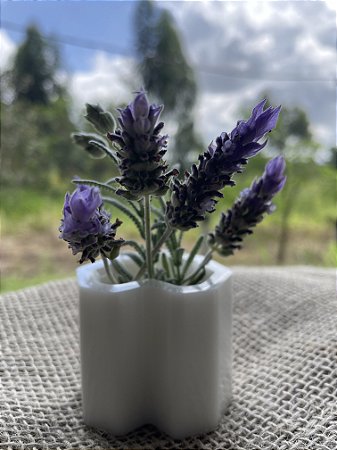 Suporte para planta Personalizado