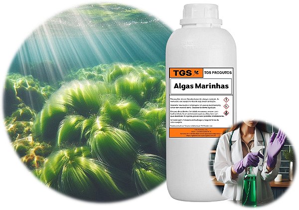 Essência Algas Marinhas Ultra para fabricar desinfetante