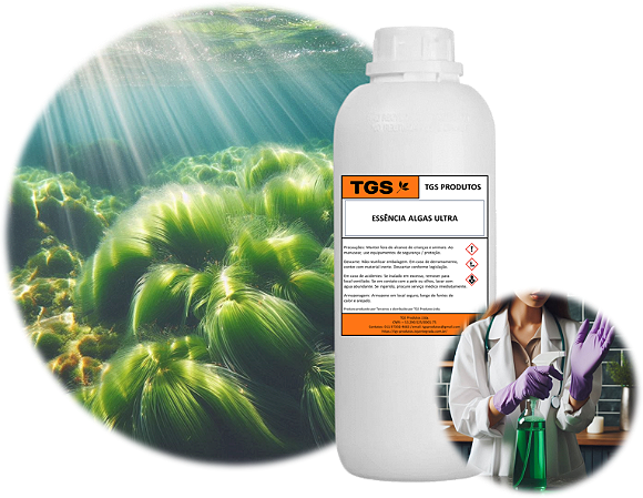 Essência Algas Marinhas Ultra para fabricar desinfetante