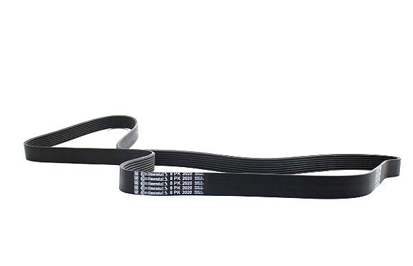 CORREIA 8PK2020  MB continental