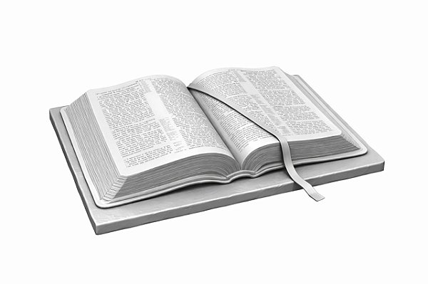 BIBLIA SAGRADA MODELO2