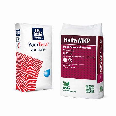 Adubo Kit Nitrato de Cálcio + MKP 0-52-34 | 1kg cada