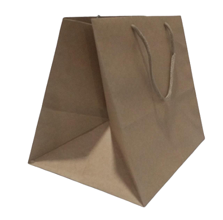 10 Sacola 25x20,5x23 Alça Cordão