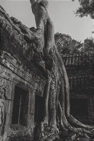 Print Angkor Wat 2