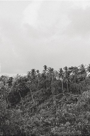 Print Bali 3