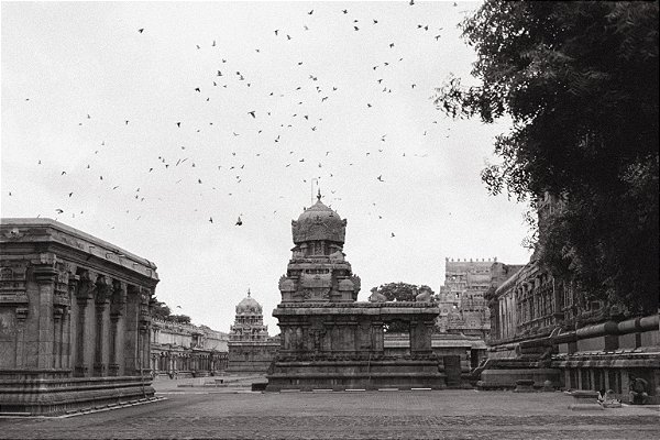 Print India 12