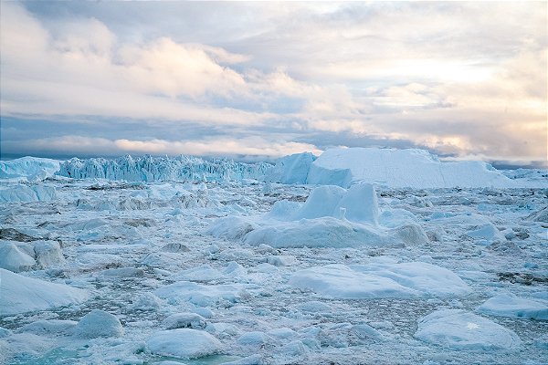 Print Iceberg Groenlandia 1