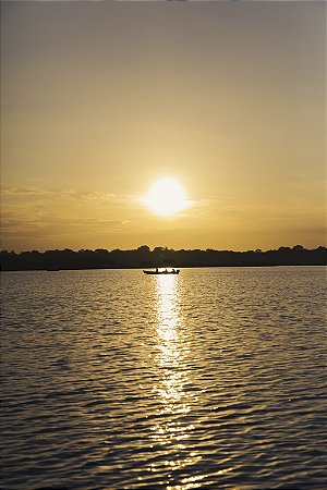Print Amazonia 9