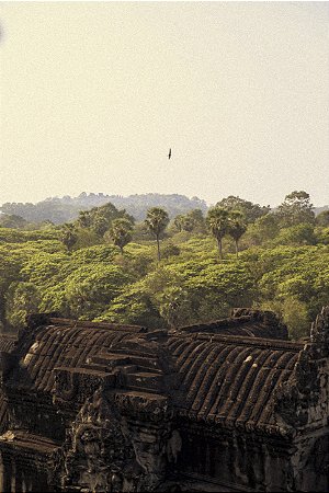 Print Angkor Wat 7