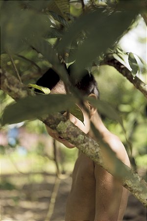 Print Amazonia 2