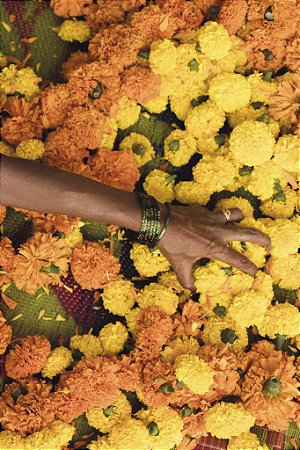 Print Flores India